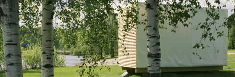 Sauna finlandes y nuevo diseños